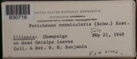 Image Associated With the Occurence